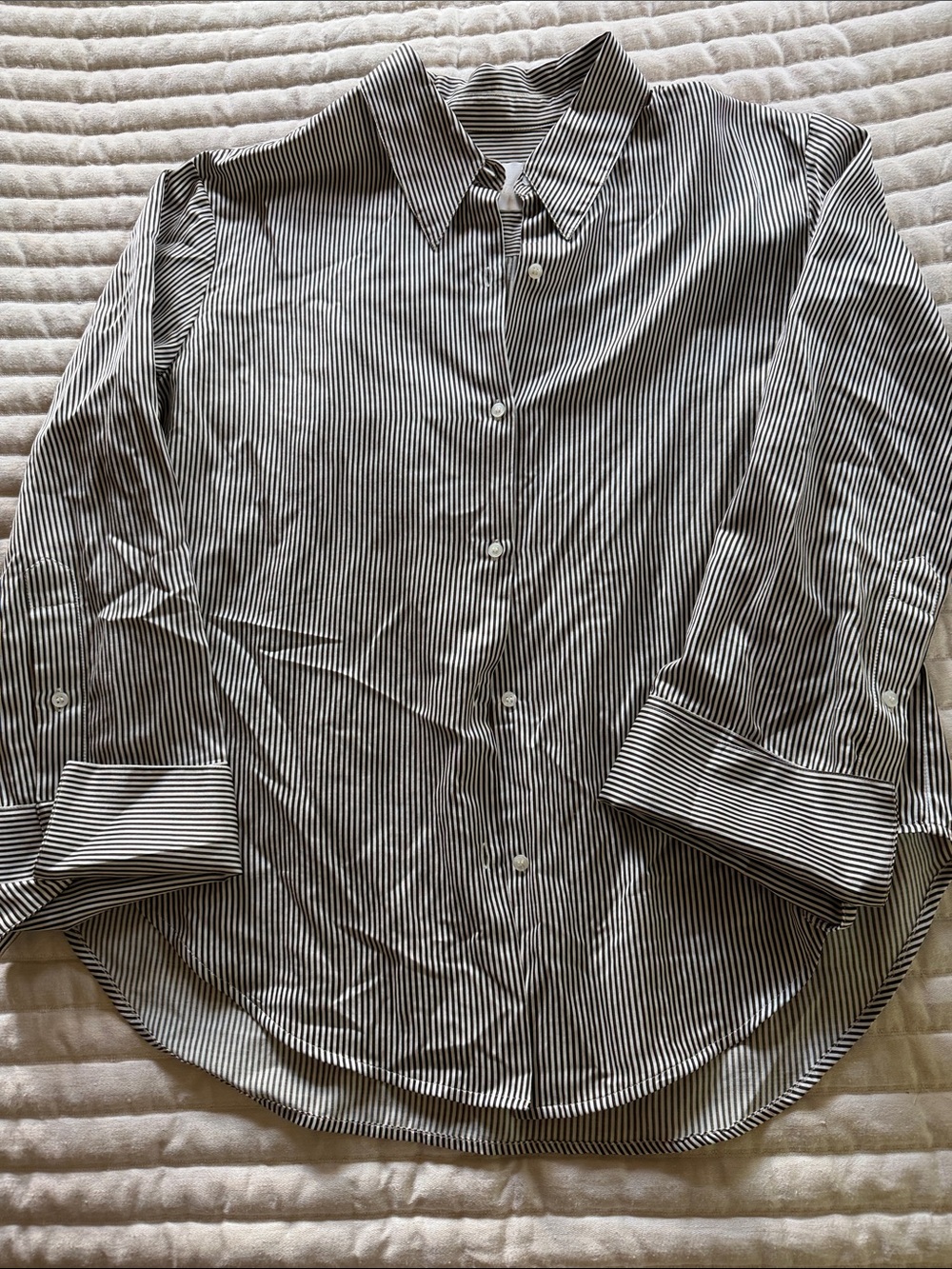 Citizens Of Humanity Black and White Striped Button-Up Blouse